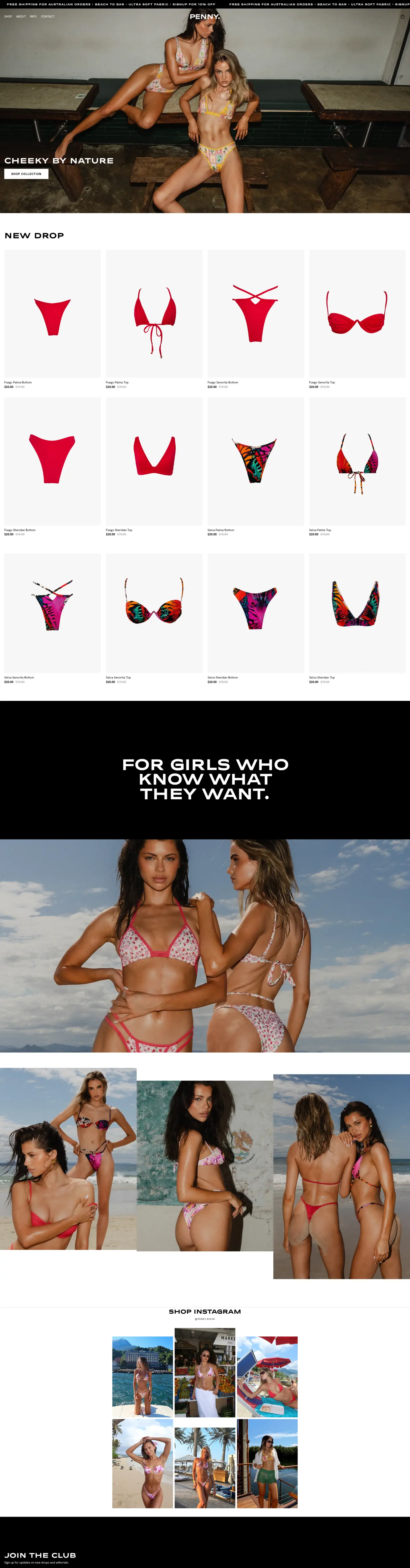 Penny Swimwear project preview